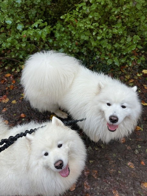 thumbnail_IMG_7486